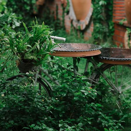 Mekong Pottery Homestay, Green-Friendly & Boat Tour Vĩnh Long Exteriér fotografie